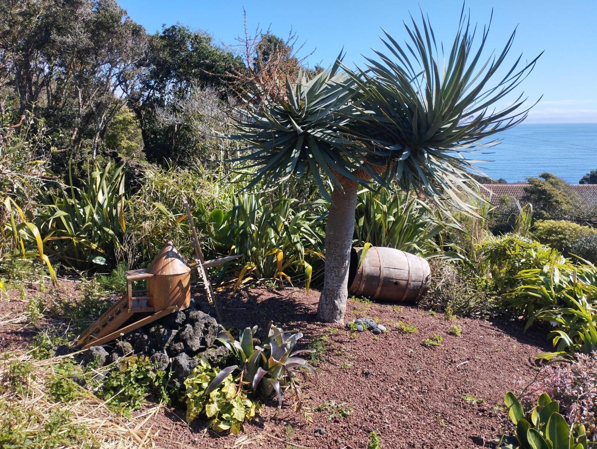 Вілла Lobo Do Mar Calheta de Nesquim Екстер'єр фото
